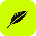 Robinhood